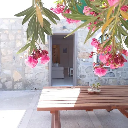 Lejlighed Dolphin Residences - Lilyum 3 *